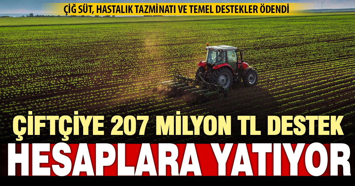 Denizli’de çiftçilere 207 milyon TL’yi aşan destek hesaplara yatırılıyor
