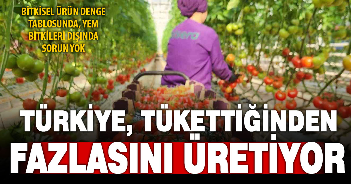 Türkiye, yem bitkileri dışında kendine yetenin fazlasını üretiyor