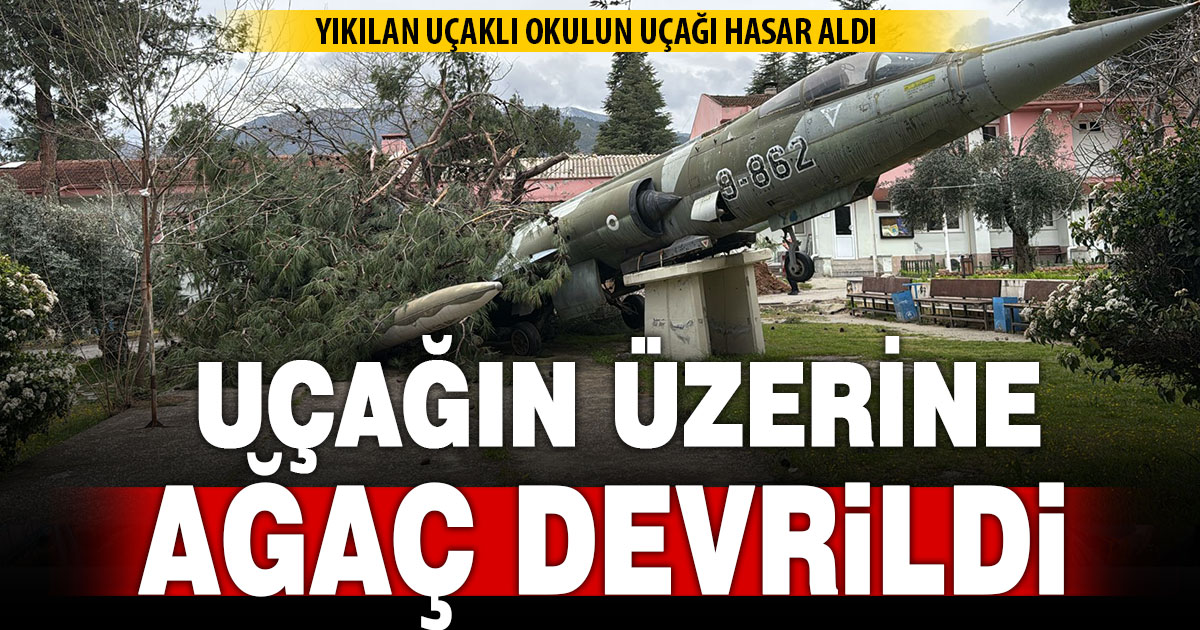 Uçaklı okulun uçağının üzerine ağaç devrildi