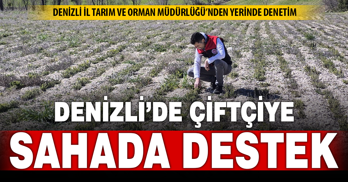 Denizli İl Tarım ve Orman Müdürlüğü sahada çalışmalarını sürdürüyor