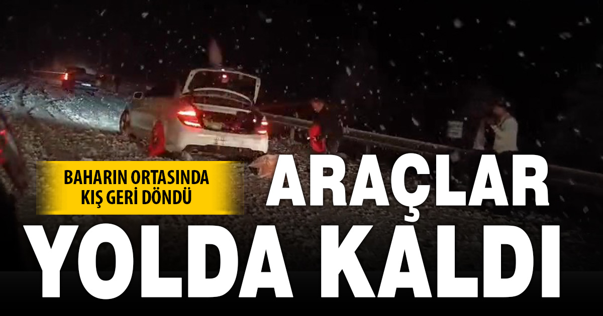Denizli’ye baharda yağan lapa lapa kar araçları yolda bıraktı