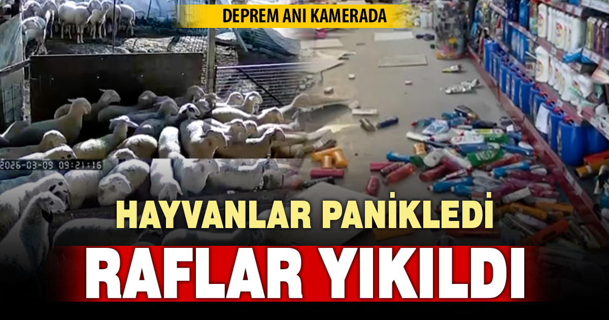 Denizli’de deprem korkusu: Hayvanlar panikledi, market rafları devrildi