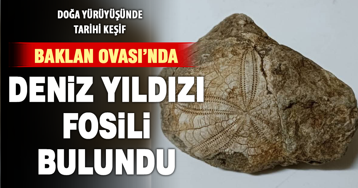 Baklan’da deniz yıldızı fosili bulundu