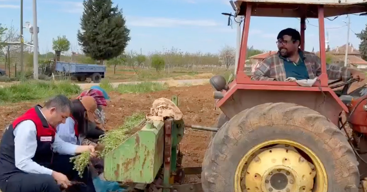 Denizli’de kekik üretimine yakın takip