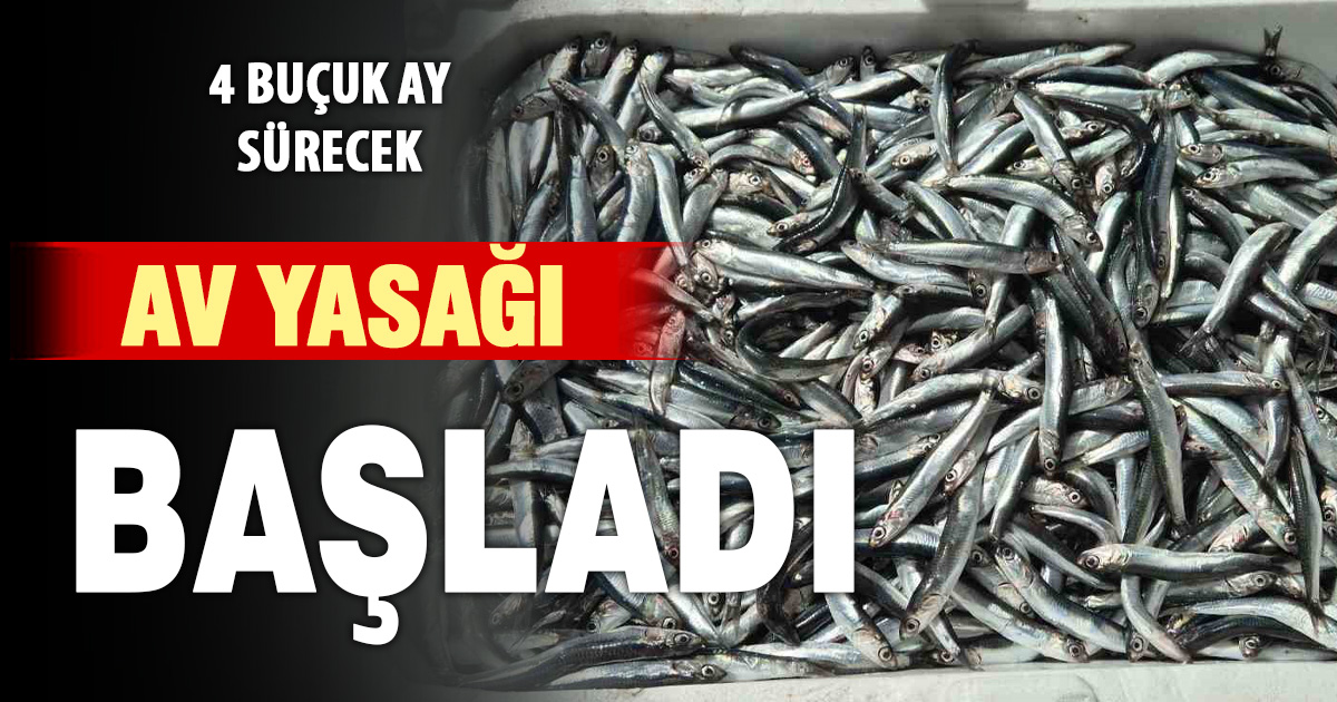 Av yasağı başladı: Trol ve gırgır avcılığı 4,5 ay duracak