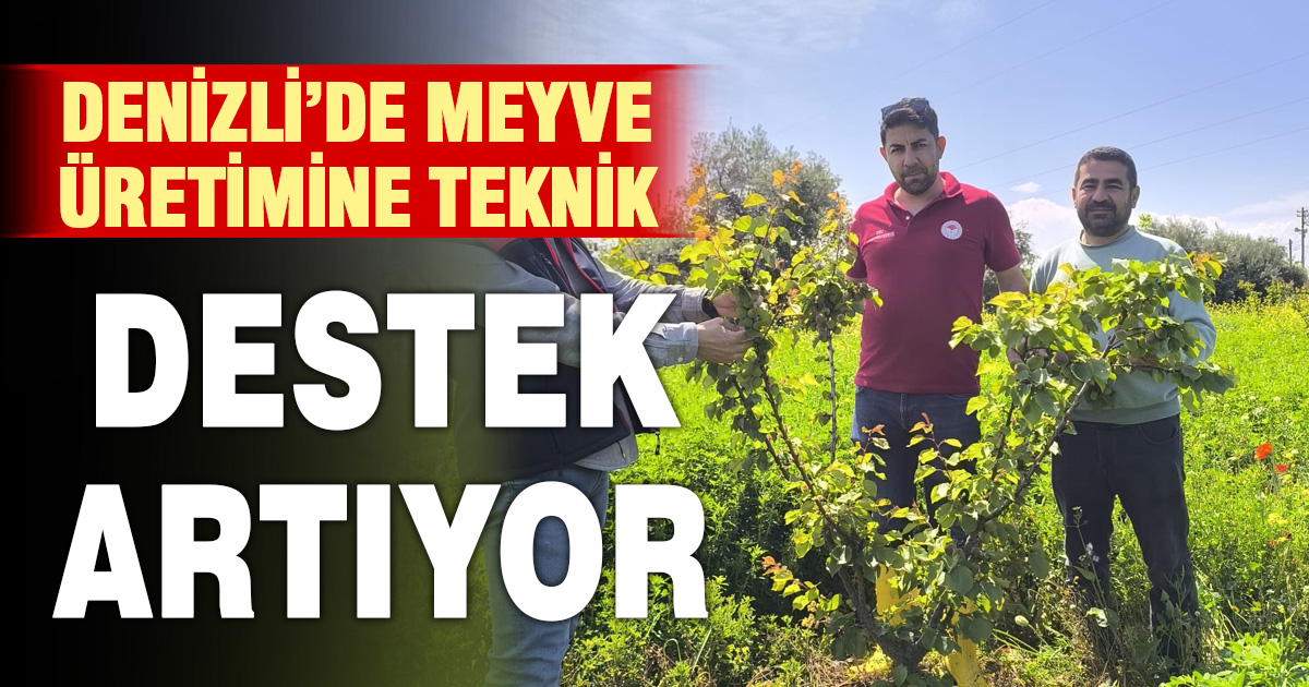 Pamukkale’de meyve bahçeleri denetim altında