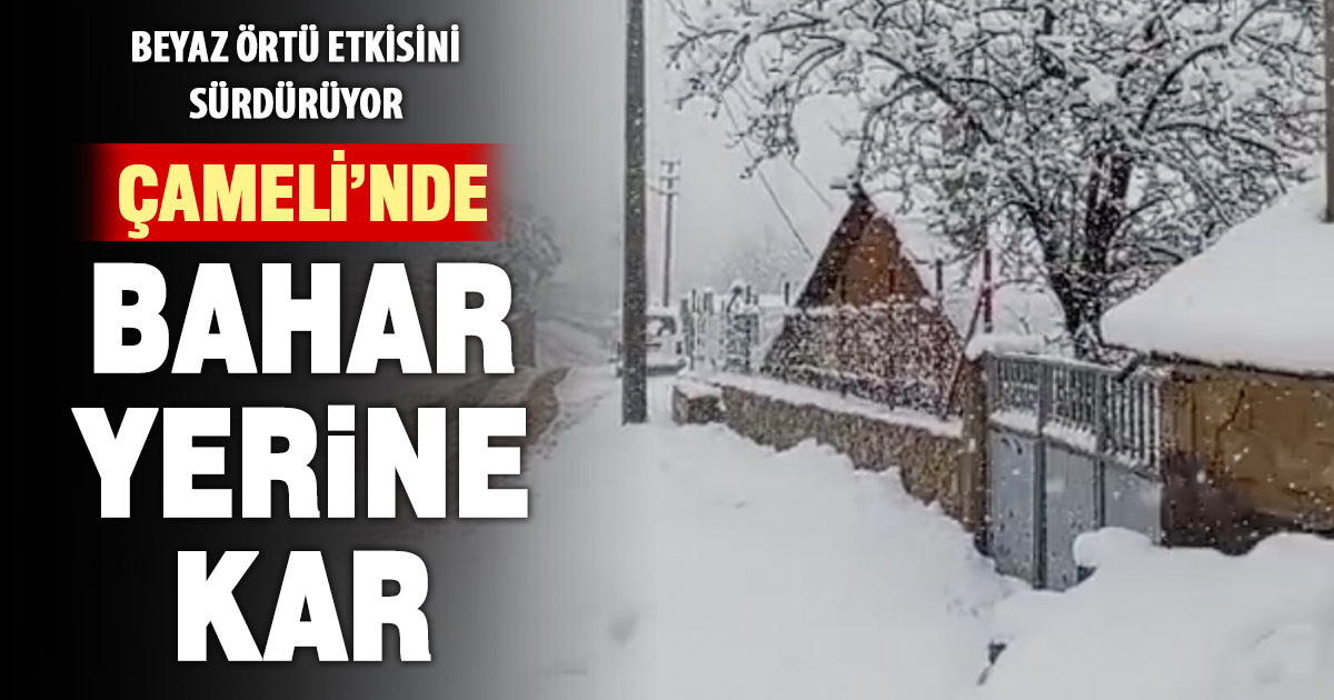 Çameli’nde bahar yerine kar: Beyaz örtü etkisini sürdürüyor
