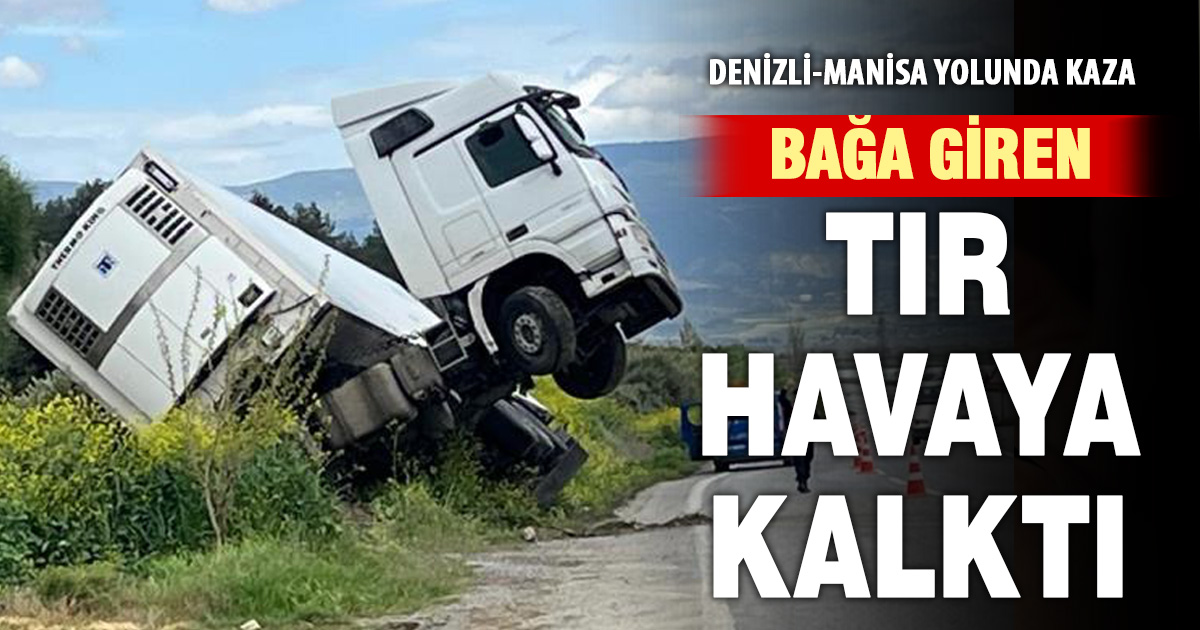 Bağa giren tır şaha kalktı 