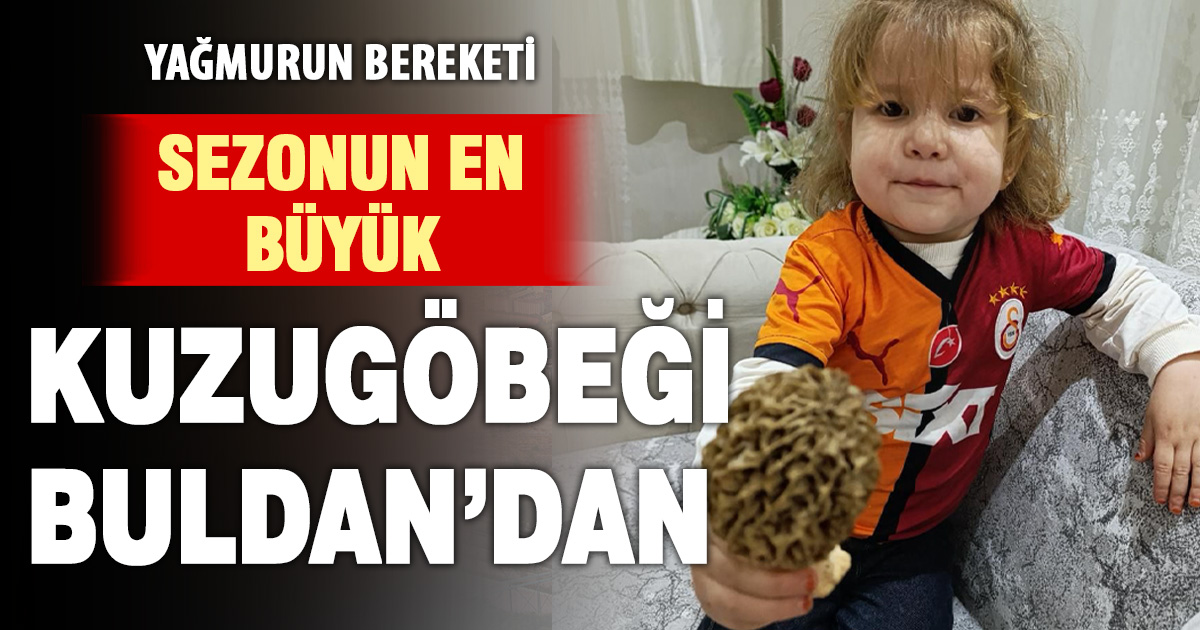 Sezonun en büyük Kuzugöbeği Buldan’dan