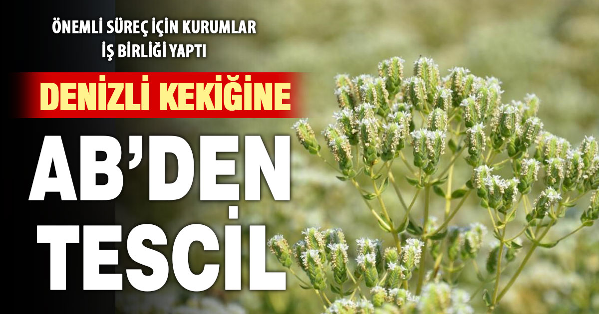 Denizli kekiğinin AB’den coğrafi işaret alması için kurumlar iş birliği yaptı