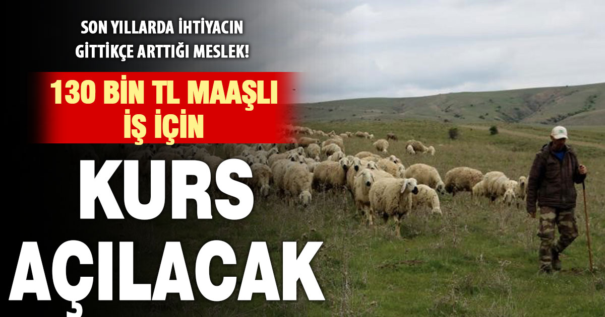 Baklan’da çobanlık kursu açılıyor: Yerli çoban yetiştirme hamlesi