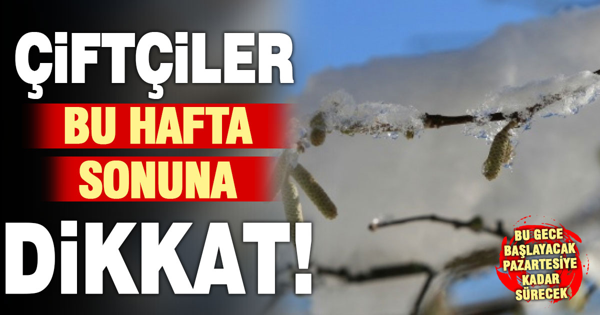 Denizli’ye üç gecelik zirai don uyarısı
