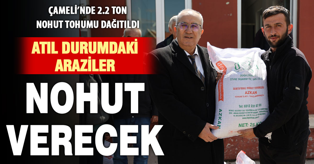 Çameli’nde atıl durumdaki arazilerde nohut üretilecek