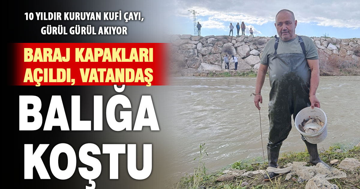 10 yıllık kuraklığın hakim olduğu çayda balık avladılar  