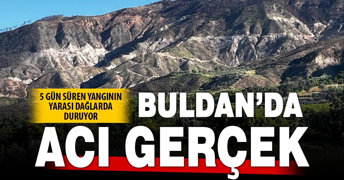 Buldan’da 5 gün süren yangının izleri dağlarda kaldı 