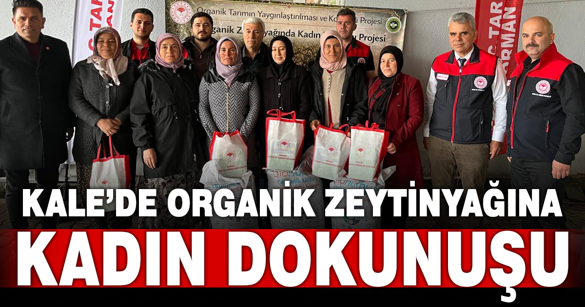 Organik zeytinyağında kadın eli şifası projesi sahada