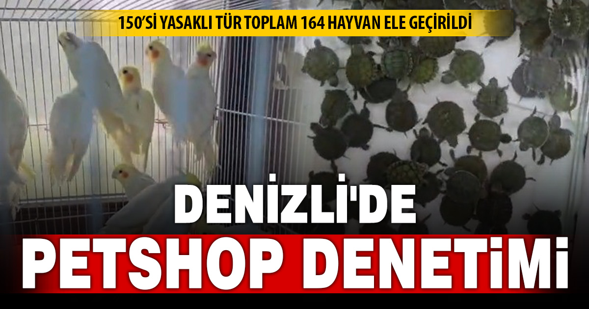Denizli’de petshop denetiminde 164 hayvana el konuldu 