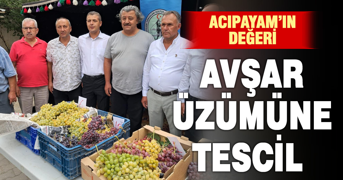 Acıpayam’ın değeri Avşar üzümü tescil aldı