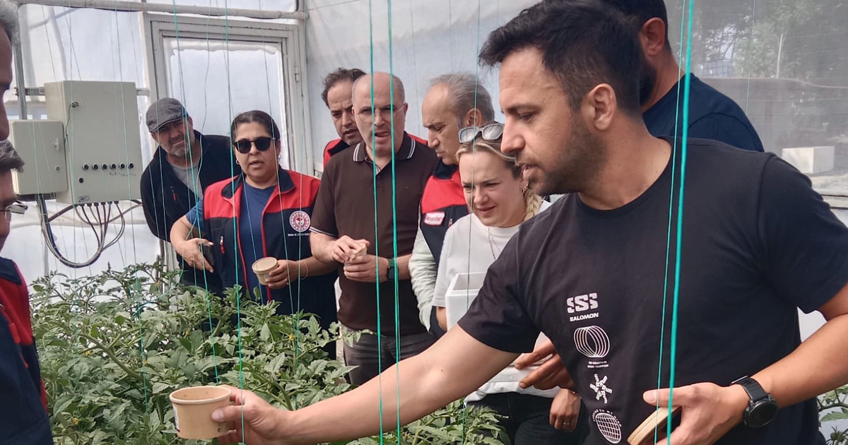 Seralarda faydalı böcek salınımı başladı