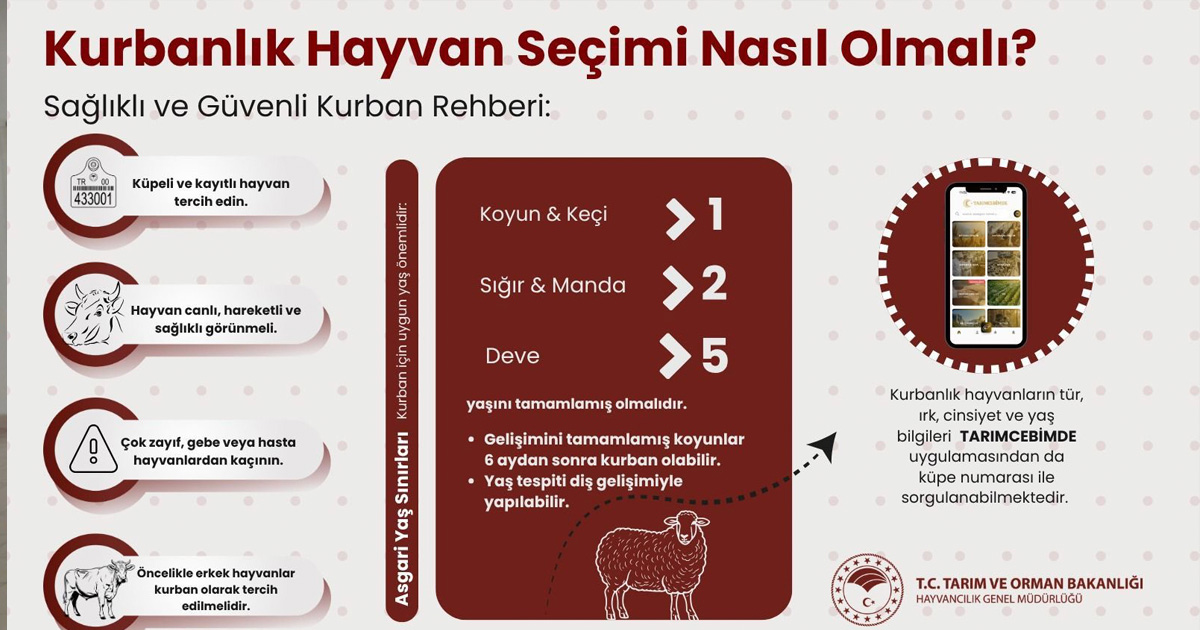 Kurbanlık alacak vatandaşlara önemli uyarılar