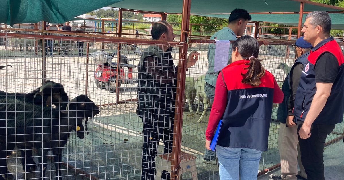 Kurban bayramı öncesi sıkı denetim, güvenli sevkiyat