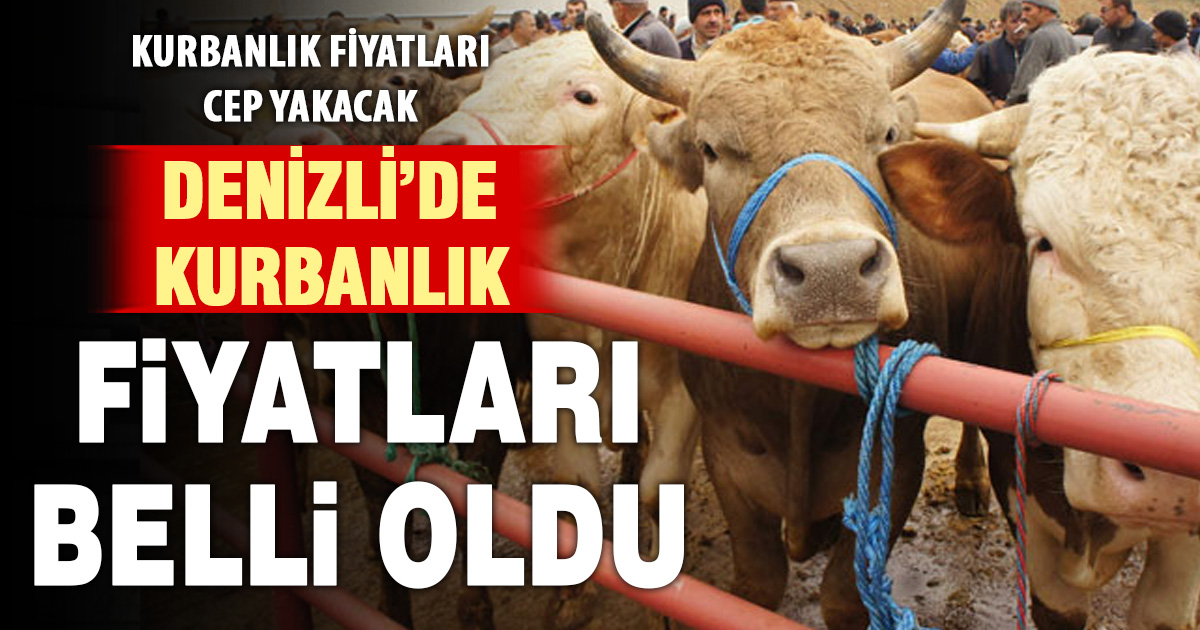 Denizli’de kurbanlık fiyatları belli oldu