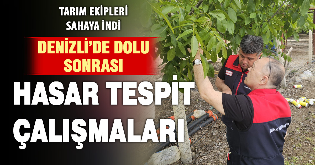 Denizli’de dolu sonrası hasar tespit çalışmaları 