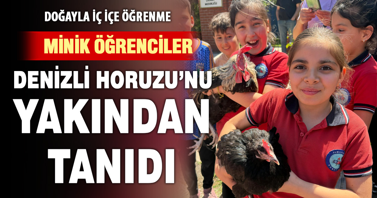 Minik öğrenciler Denizli Horuzu’nu yakından tanıdı