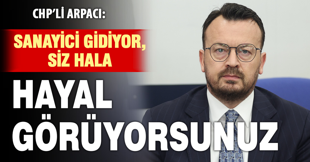 CHP’li Arpacı’dan Plan ve Bütçe Komisyonu’nda tepki: Sanayici gidiyor, siz hala hayal görüyorsunuz