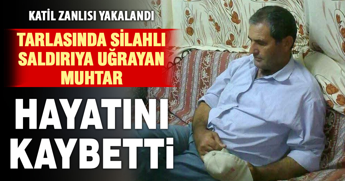 Tarlasında silahlı saldırıya uğrayan muhtar hayatını kaybetti, katil zanlısı yakalandı