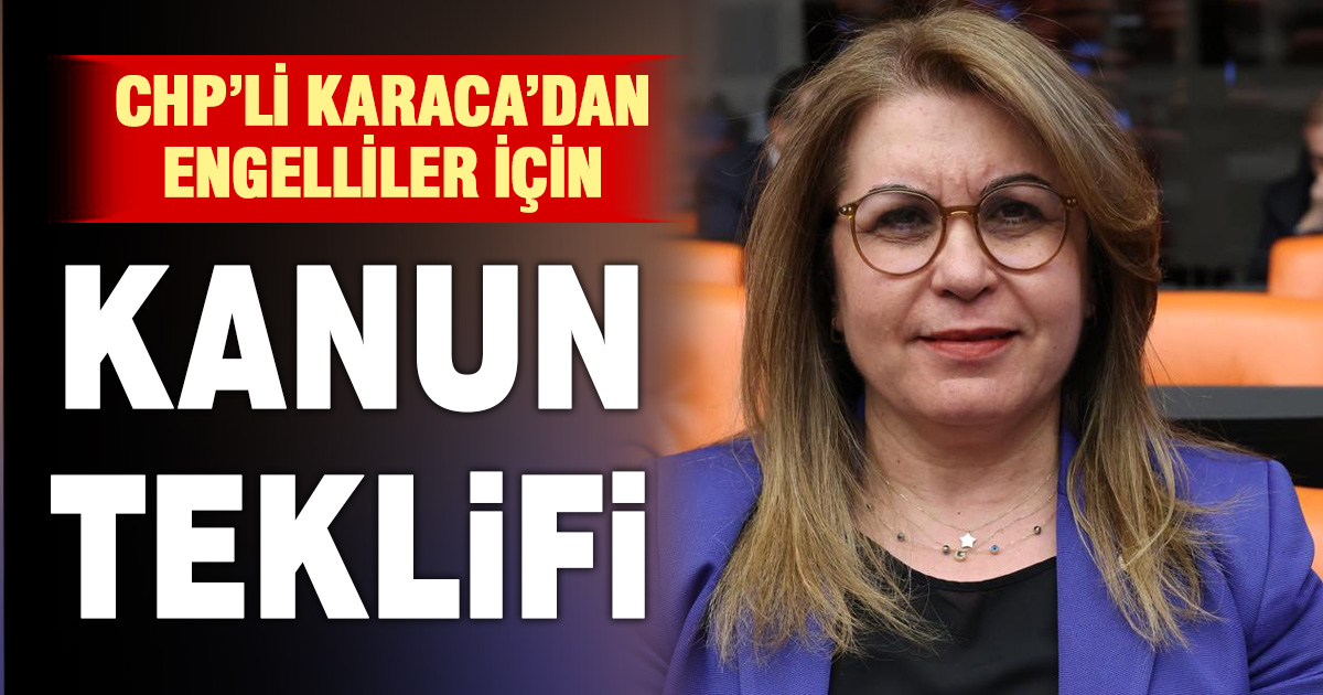 ENGELLİ BİREYLER İÇİN HİZMETE ERİŞİM KANUNLA GÜVENCE ALTINA ALINMALI
