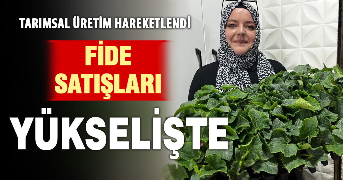 Hava şartlarının uygun hale gelmesiyle birlikte fide satışları arttı 