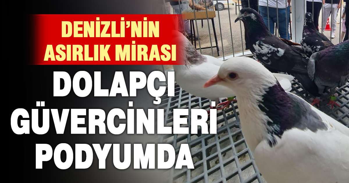 Denizli’nin asırlık mirası Dolapçı güvercinleri güzellikleriyle büyüledi
