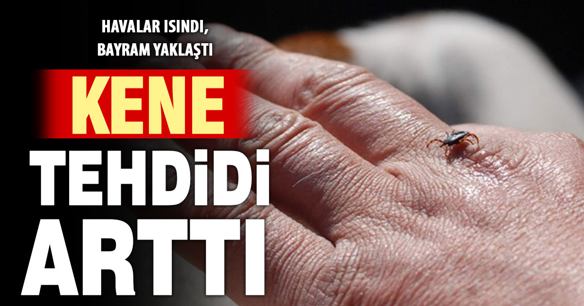 Havalar ısındı, Kurban Bayramı yaklaştı: Kene tehlikesi yeniden kapıda