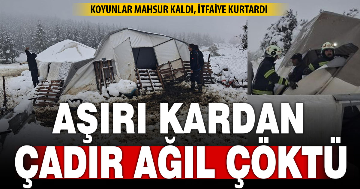 Aşırı kar nedeniyle ağıl çöktü, koyunlar mahsur kaldı
