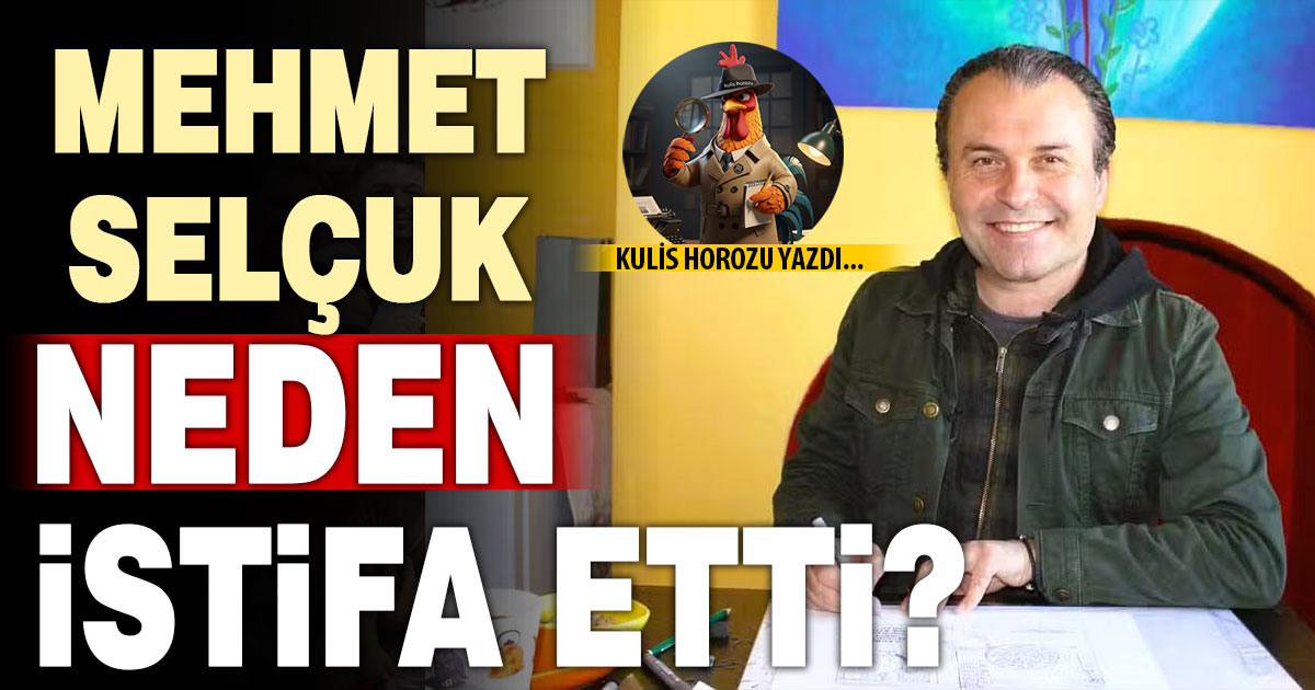 MEHMET SELÇUK NEDEN İSTİFA ETTİ?