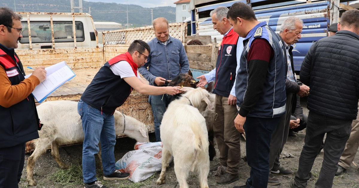 Çameli’nde kurban pazarı canlandı