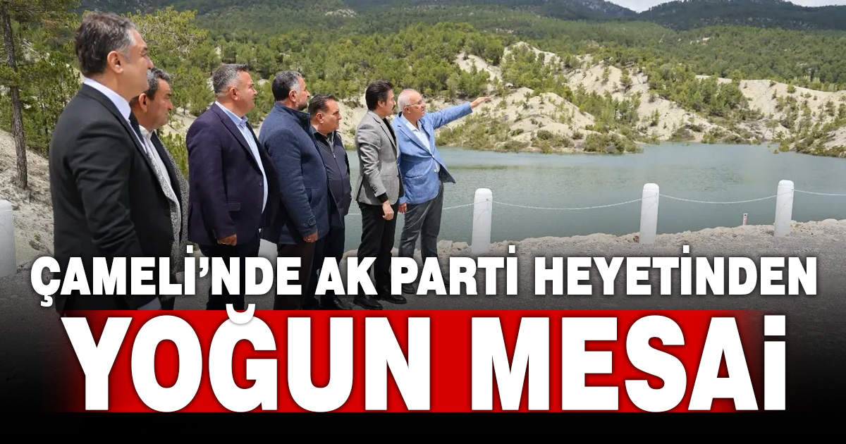 AK Parti heyeti Çameli’de temaslarda bulundu