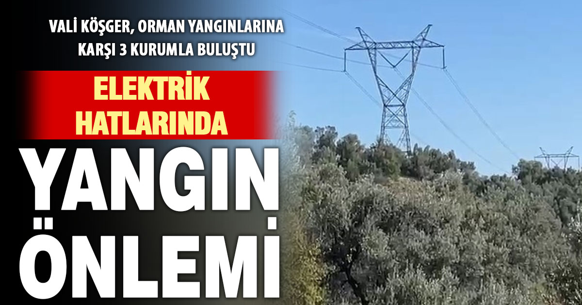 Orman yangınlarına karşı elektrik hatları denetimi