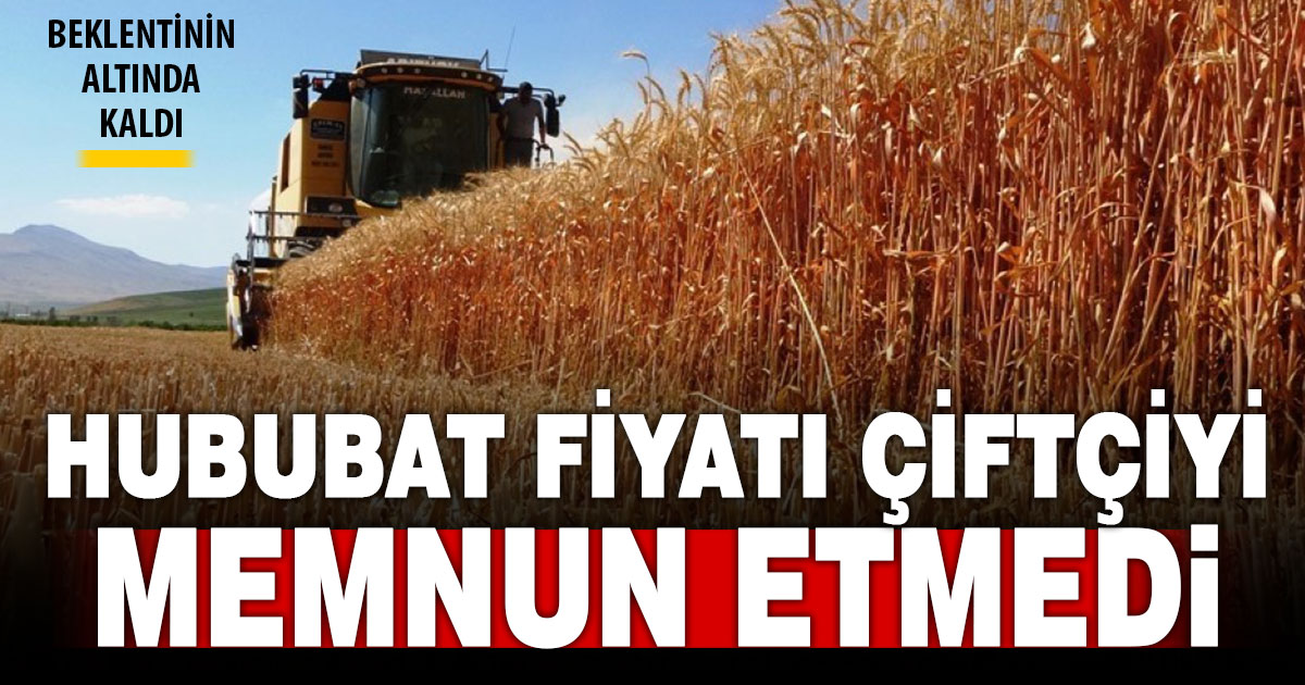 Hububat fiyatı açıklandı, çiftçinin beklentisinin altında kaldı