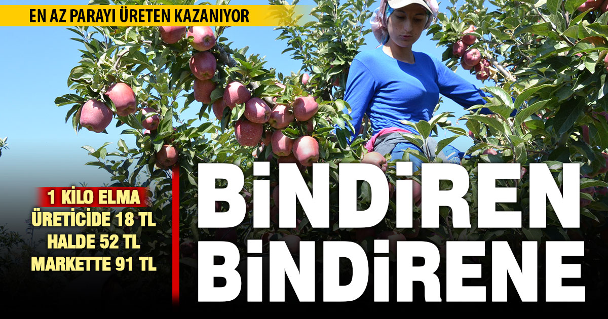 18 liralık elma, market rafına gelinceye kadar 91 liraya yükseldi