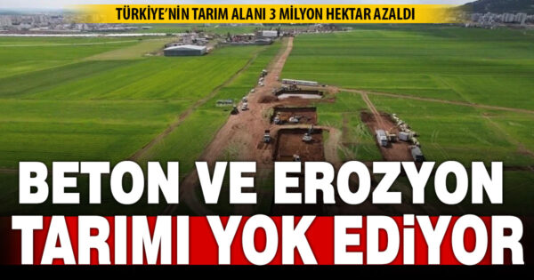 Türkiye’nin tarımını beton ve erozyon tehdit ediyor: 3 milyon hektar azaldı