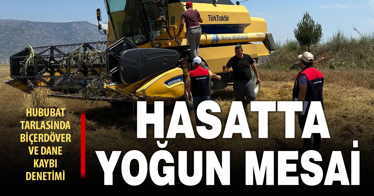 Hububat hasadında ekiplerin denetimleri sürüyor