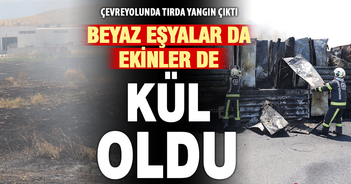 Beyaz eşya yüklü tırda çıkan yangın tahıl tarlalarına sıçradı