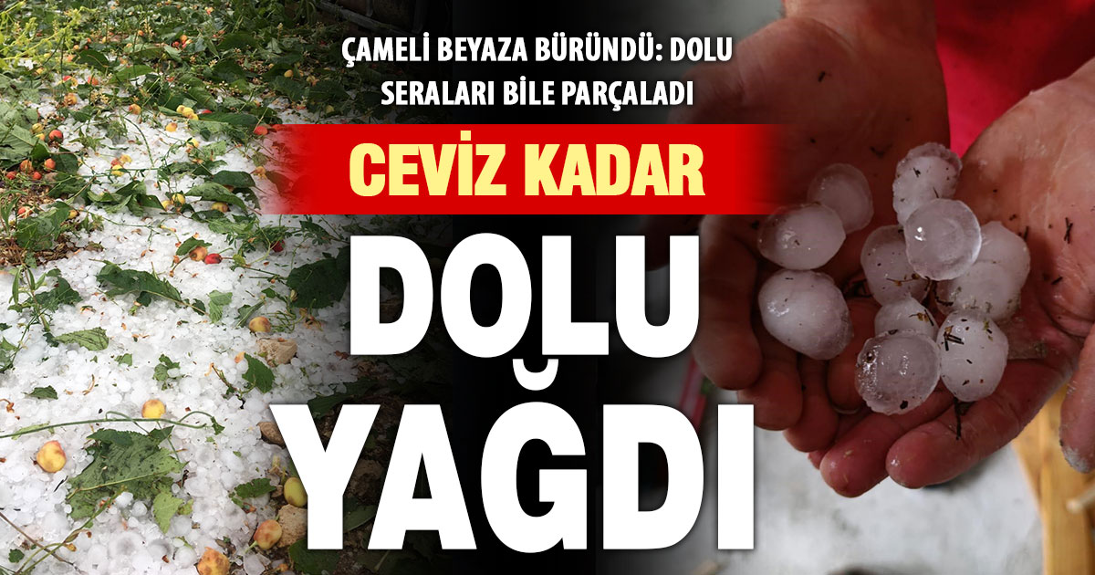 Çameli'nde ceviz büyüklüğünde dolu yağışında seralar ve tarlalar zarar gördü