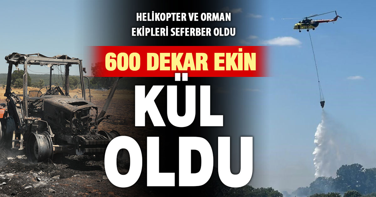 Tarla yangınında 600 dekar ekili alan zarar gördü  