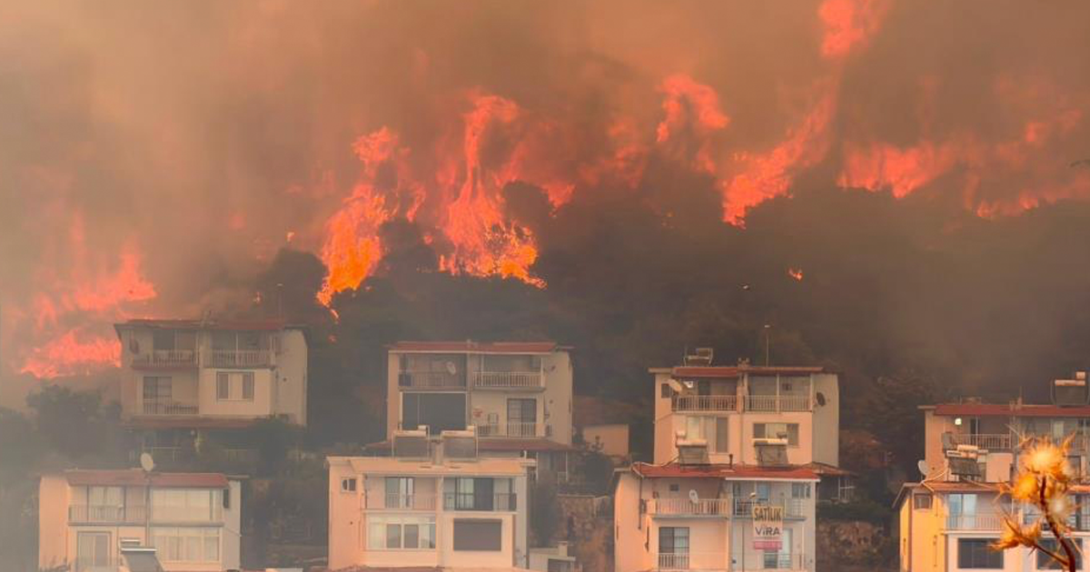  İzmir'de makilik alandaki yangın kontrol altında 