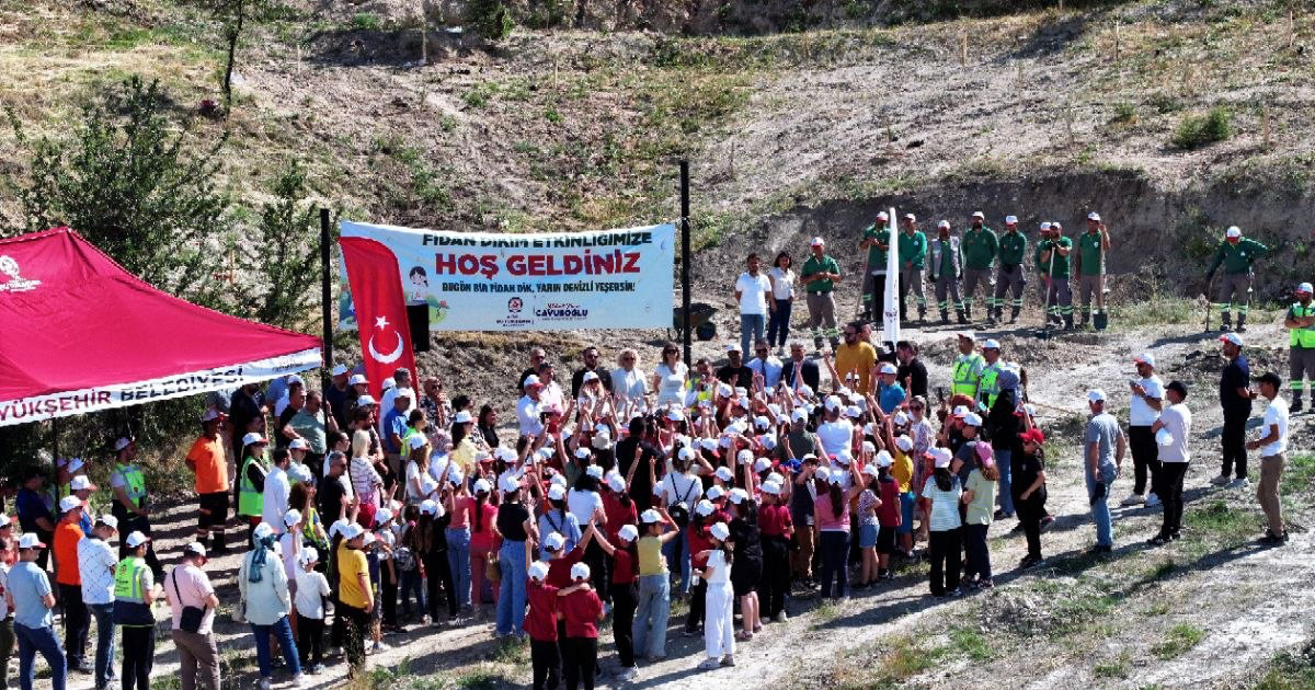 Denizli'de doğaya yeşil dokunuş: Zeytin fidanları toprakla buluştu