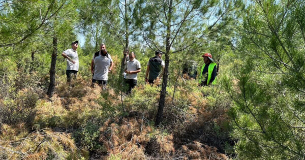 Tavas’ta Silvikültür çalışmaları yerinde incelendi