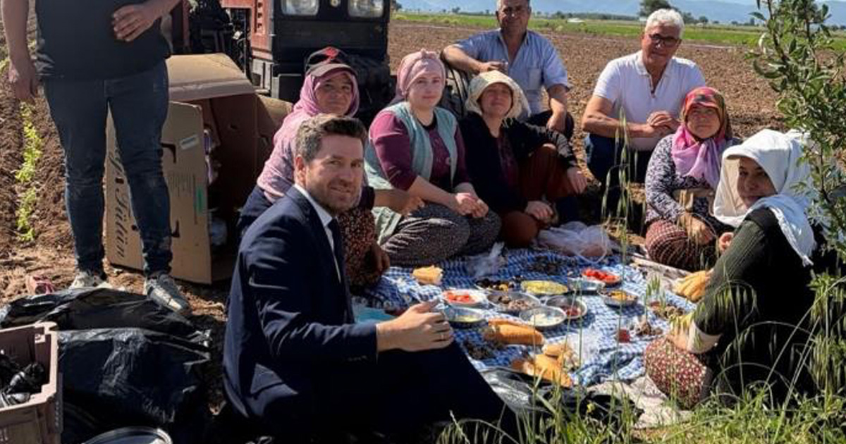 Başkan Tatık, tütün tarlasında emekçilerle buluştu